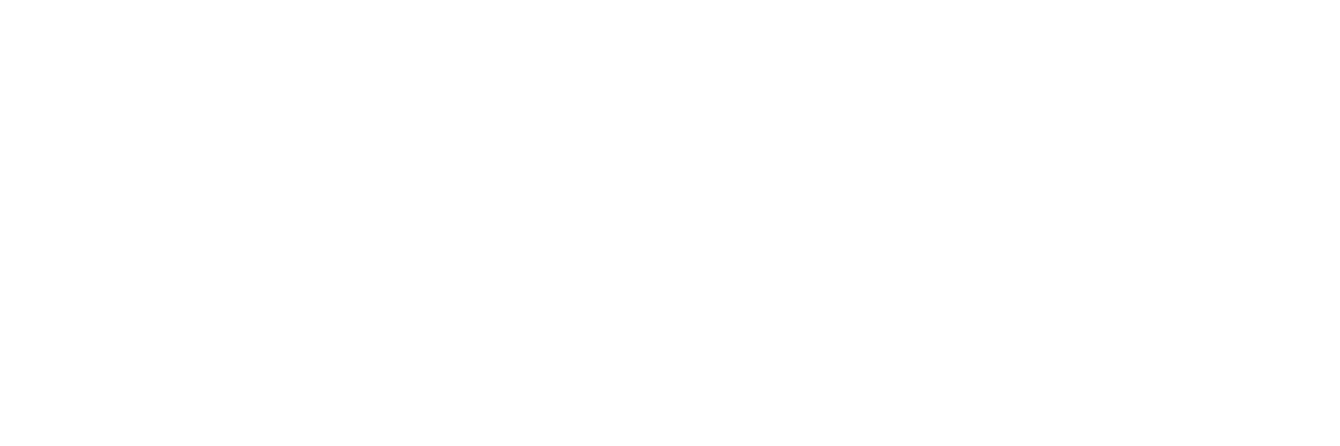 Secret AI Logo.